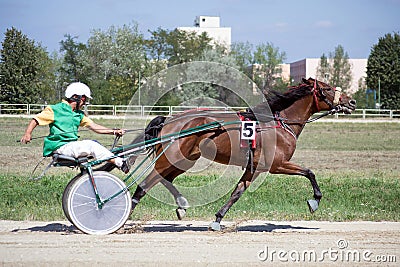 National trotting derby in Ploiesti - third place Editorial Stock Photo
