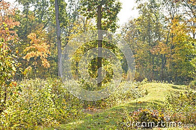 Native American Effigy Mound in Fall Stock Photo