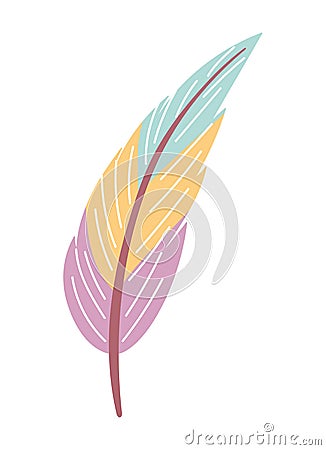 native feather ornament Vector Illustration