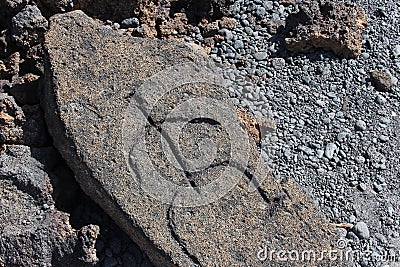 Native Hawaiian Petroglyph Carving Stock Photo