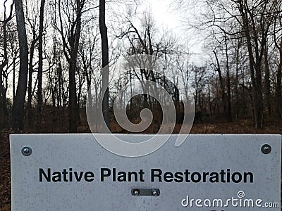 native plant restoration sign with trees in woods Stock Photo