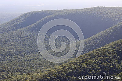 Native remnant vegetation at Grampians National Park Australia Stock Photo