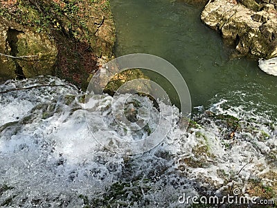 Natura Stock Photo