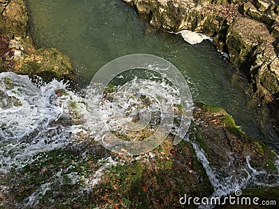 Natura Stock Photo