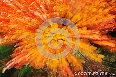 Natural abstract zoom effect Stock Photo