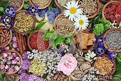 Natural Alternative Herbal Medicine Stock Photo