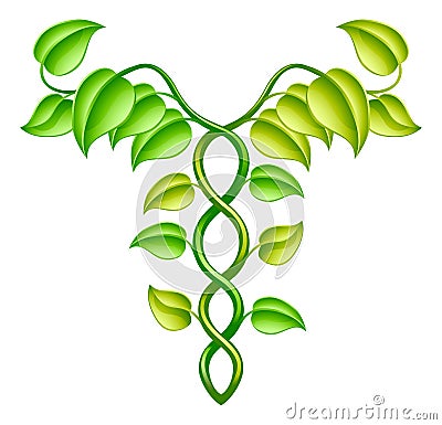 Natural or alternative medicine concept Vector Illustration