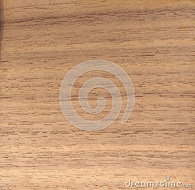 Natural American walnut crown cut wood texture background. American walnut crown cut veneer surface for interior and exterior Stock Photo