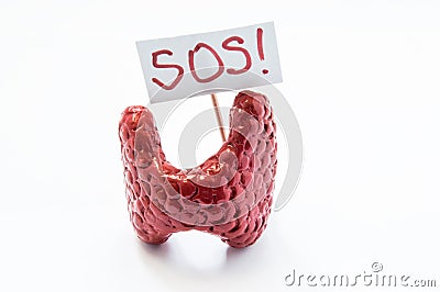 Natural anatomical 3D thyroid model standing with placard with inscription SOS referring to patient or doctor for help. Conceived Stock Photo