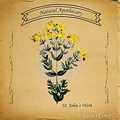 Natural Apothecary St John's Wort Stock Photo