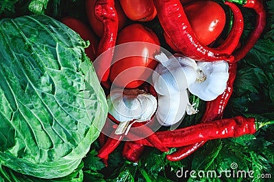 Natural assortment of cabbage, red tomatoes, hot peppers, garlic and celery. Large variety of vegetables prepared for pickles. Stock Photo