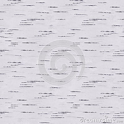 birch seamless pattern Stock Photo