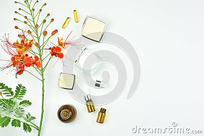 Natural background with copy space for beauty product Stock Photo