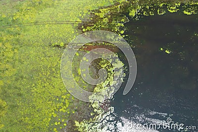 natural background lake swamp in the steppe fragment. green beach and water, abstract fragment nature aerial reflection Stock Photo