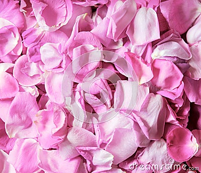 Natural background of rose petals Stock Photo