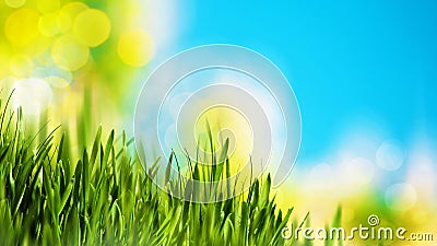 Natural backgrounds Stock Photo