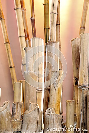 Natural bamboo Stock Photo