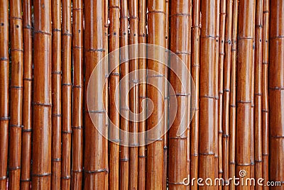 Natural bamboo background Stock Photo