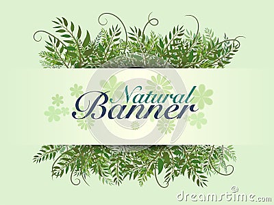 Natural banner template Vector Illustration