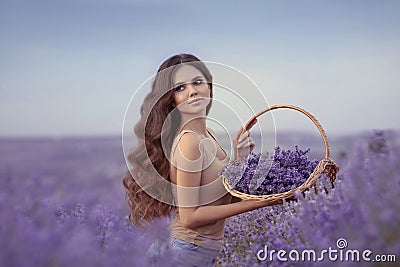 Natural beauty. Beautiful provence woman with basket flowers harvesting in lavender field at sunset. Attractive pretty girl with Stock Photo