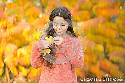 Natural beauty. Small girl wear autumn leaves in natural hair. Little child on natural landscape. Idyllic autumn nature Stock Photo