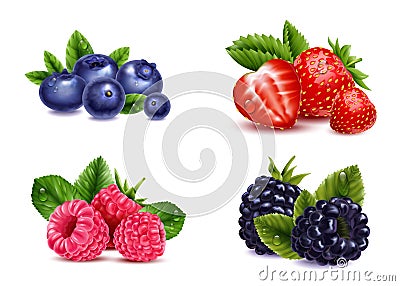 Natural Berries Realistic Set Vector Illustration