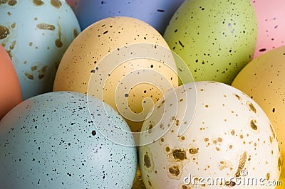 Natural Bird Eggs Stock Photo