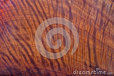 Natural Burma padauk wood has tiger stripe Stock Photo