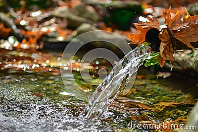 Natural, cold and fresh waters Stock Photo