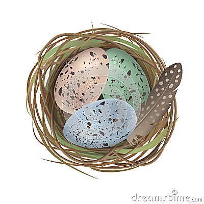 Natural colored Easter eggs, feather in the quail nest in realistic style. Top wiew Vector Illustration