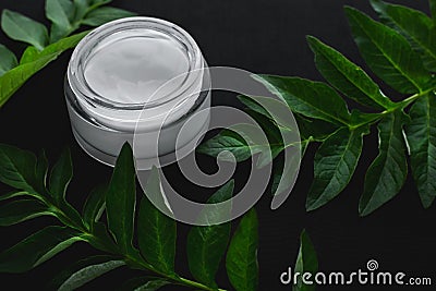 Natural cosmetics and green leaves Stock Photo