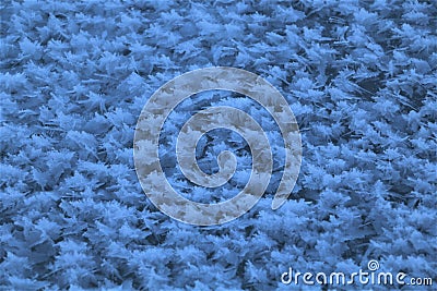 Natural creativity. An abstraction. Texture. Background Stock Photo