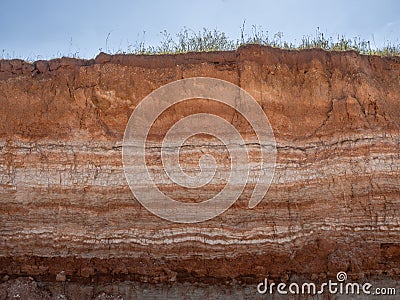 Natural cut of soil Stock Photo