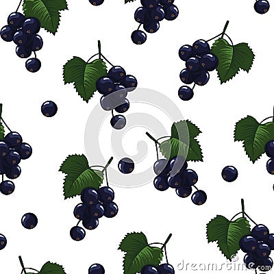 Natural delicious juicy organic berries seamless pattern with blackcurrants, vector color illustration on white background, Cartoon Illustration