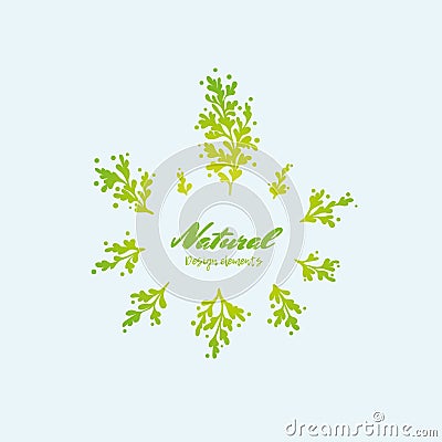 Natural design elements Vector Illustration