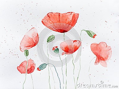 Natural drawing of poppy flowers Stock Photo