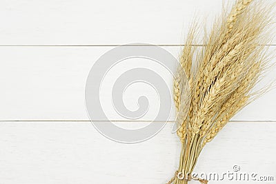 Natural dried wheat bunch on rustic white wood plank background. Stock Photo