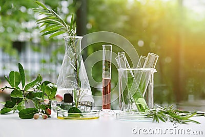 Natural drug research, Natural organic and scientific extraction in glassware, Alternative green herb medicine. Stock Photo