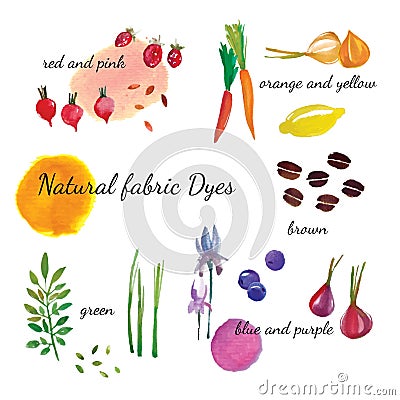 Natural fabric dyeing. Traditional cotton and silk dyeing from p Vector Illustration