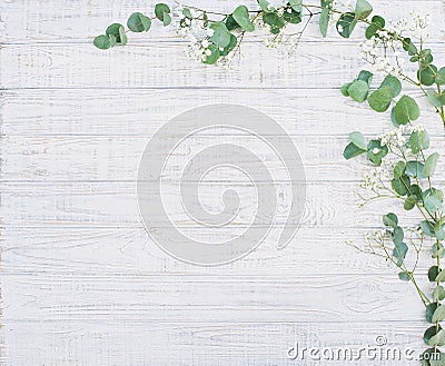 Natural floral frame with eucalyptus branches Stock Photo