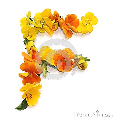 natural flower arrangements with yellow orange real fresh flowers letter F Stock Photo
