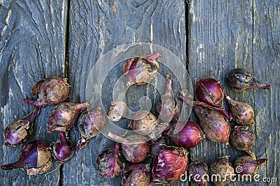 Natural food, red, onion on a wooden table Stock Photo