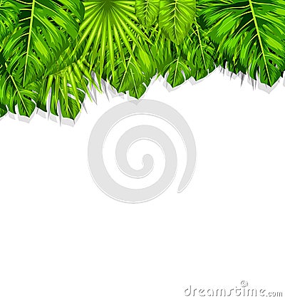 Natural Frame with Green Tropical Leaves Vector Illustration
