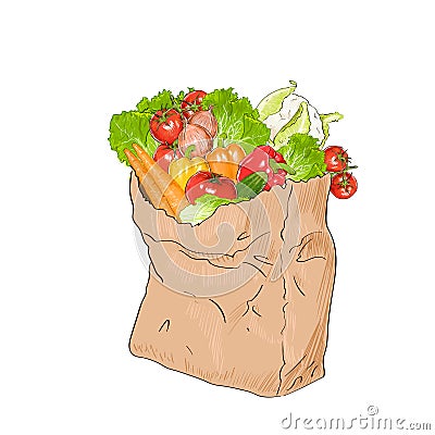 Natural fresh raw vegetables organic food market Vector Illustration