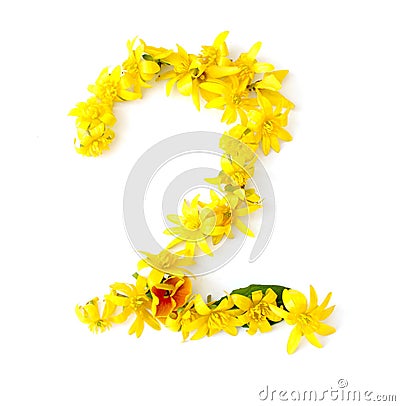 natural fresh yellow flowers green leaf bright shiny number 2 Stock Photo