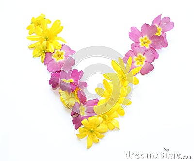 natural fresh yellow pink flowers V freshly picked in spring Stock Photo