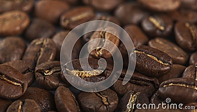 natural freshly roasted coffee beans, top view Stock Photo