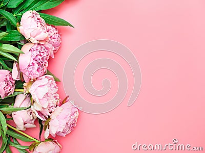 Natural garden pink peonies on a pink background, top view, copy space, flat lay. Monochrome flower arrangement for a greeting Stock Photo