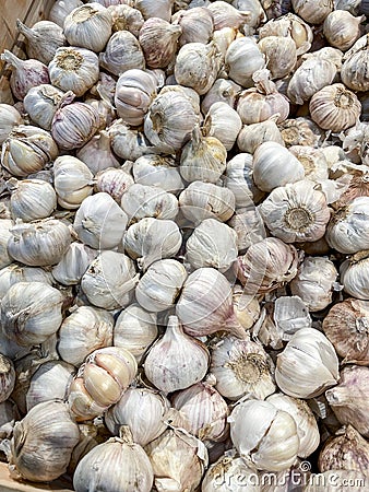 Natural garlic box background picture. Stock Photo