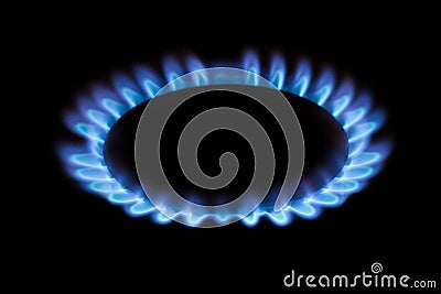 Natural gas burning a blue flames on black background, propane is burning on the gas cooker. Stock Photo